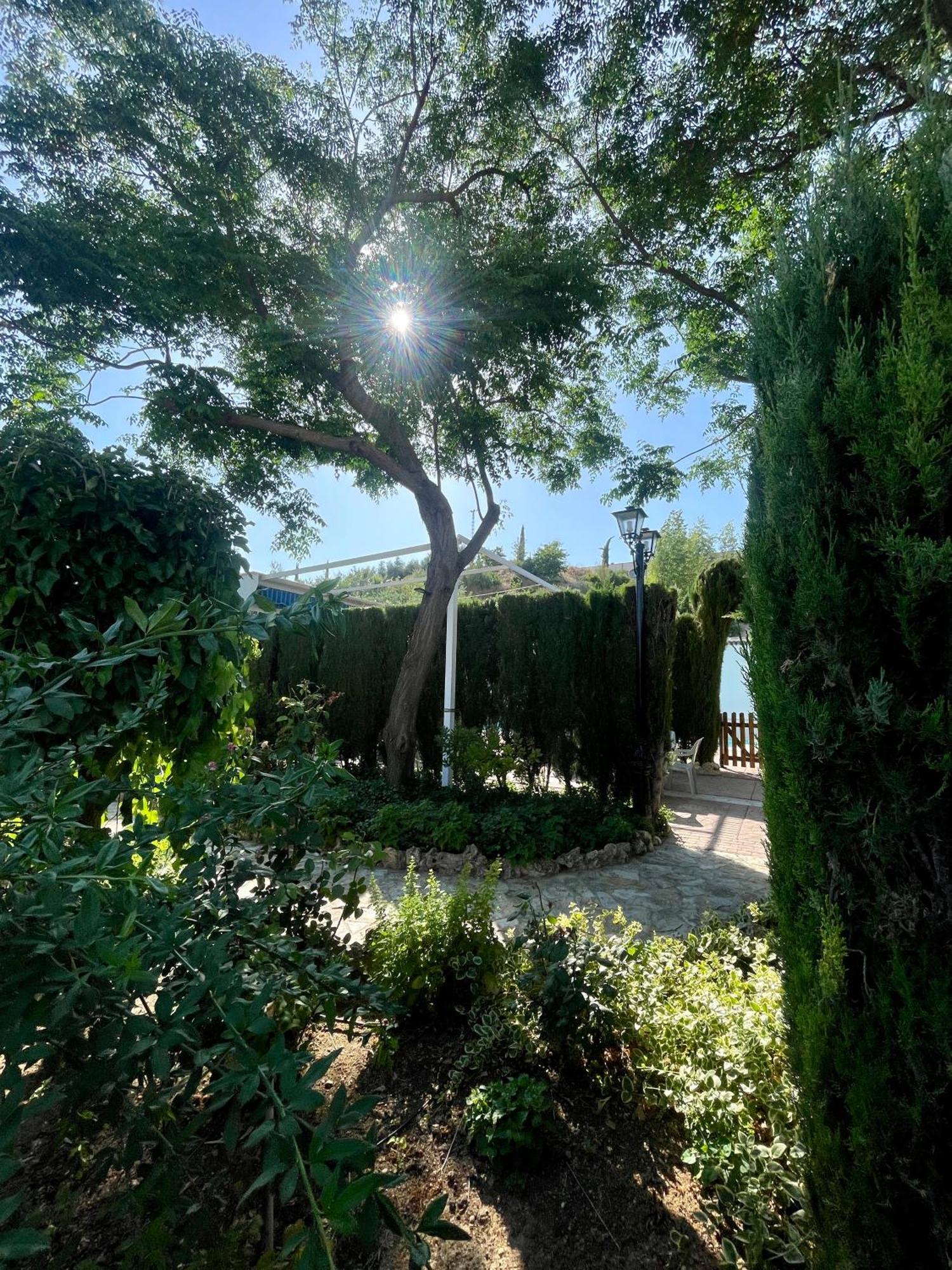 Villa Jardin Priego de Córdoba Екстериор снимка